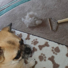 Load image into Gallery viewer, Pet Hair Removal Pack - LintRolled