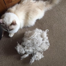 Load image into Gallery viewer, Pet Hair Removal Pack - LintRolled