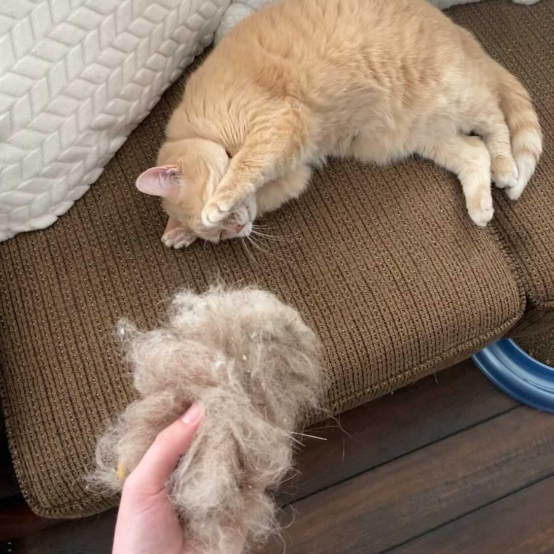 Lint Cleaner Max™ - LintRolled