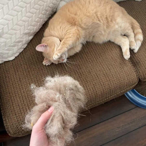Lint Cleaner Max™ - LintRolled