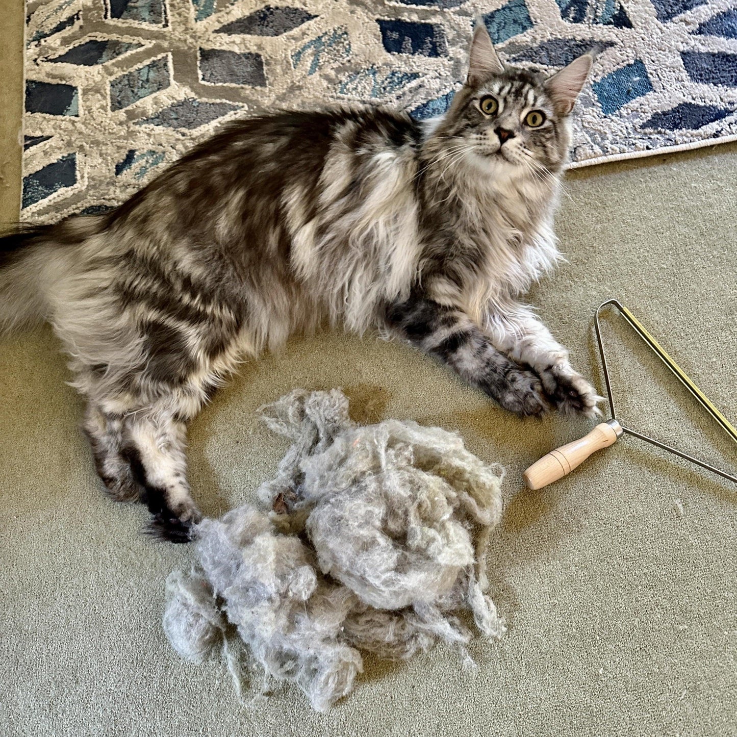 Lint Cleaner Pro™ - LintRolled