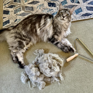 Lint Cleaner Pro™ - LintRolled