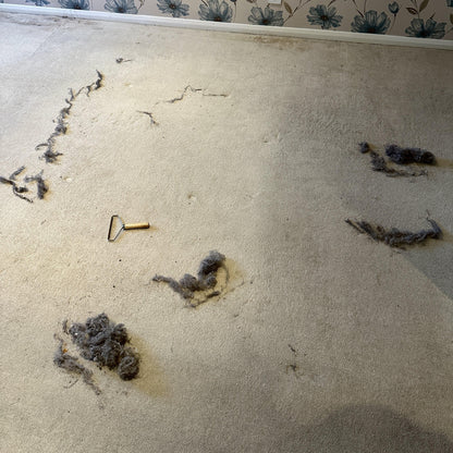 Lint Cleaner Pro™ - LintRolled