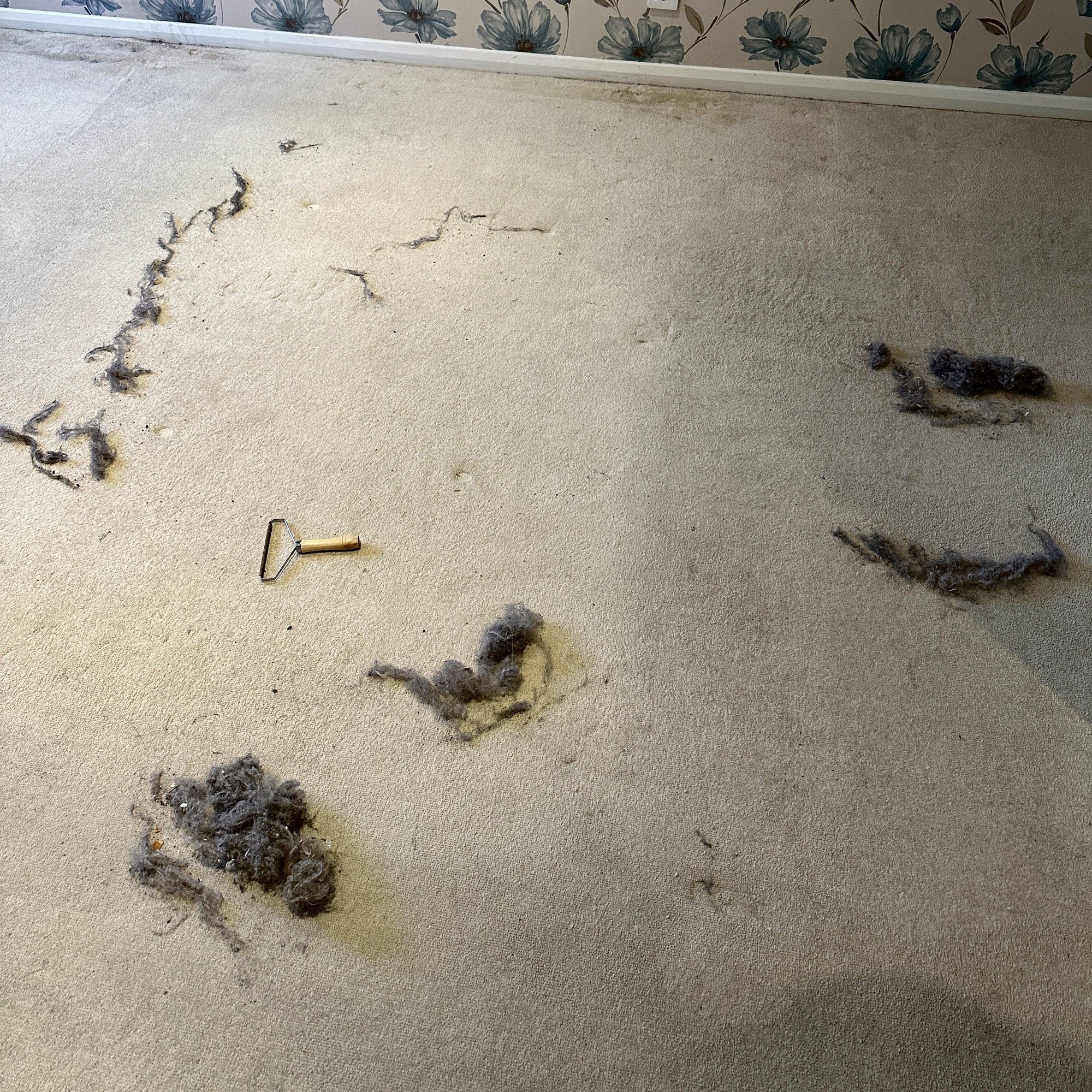 Lint Cleaner Pro™ LintRolled