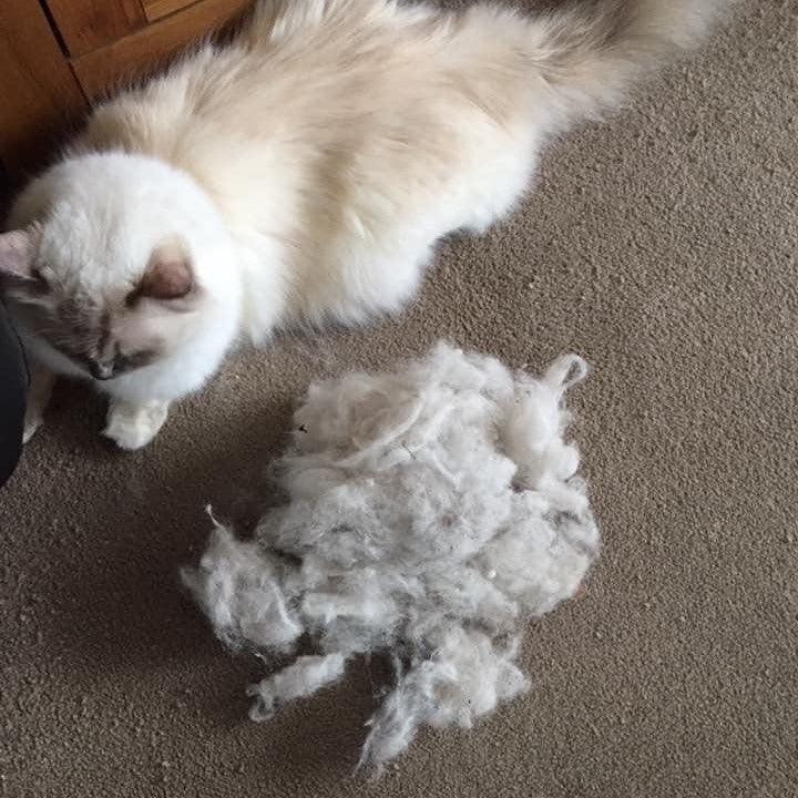 Ultimate Lint Removal Bundle - LintRolled