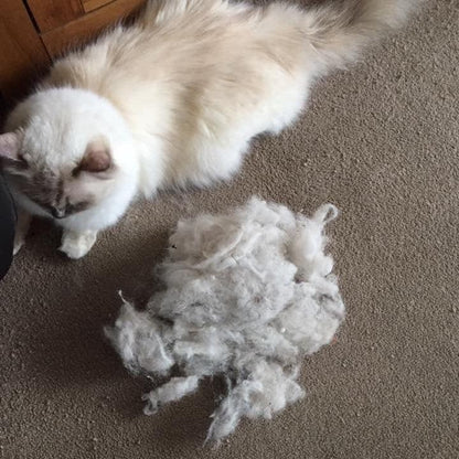 Ultimate Lint Removal Bundle - LintRolled