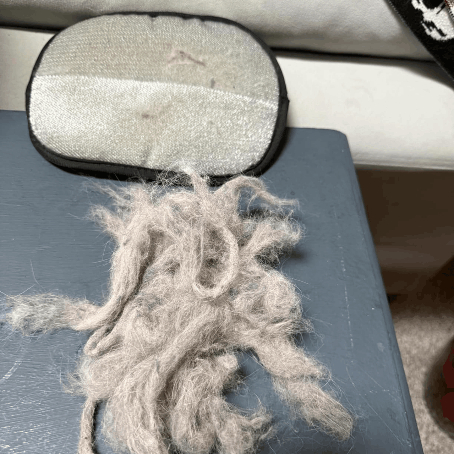 FurGlove Pro™