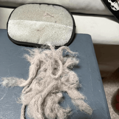 FurGlove Pro™