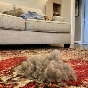 Lint Cleaner Pro™ - LintRolled