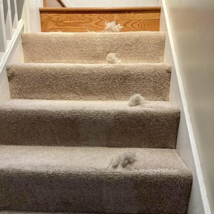 Lint Cleaner Pro™ - LintRolled