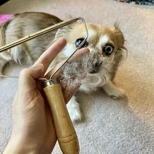 Lint Cleaner Pro™ - LintRolled